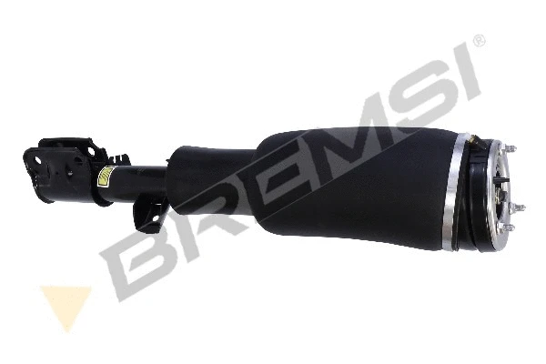 Air Suspension Strut (SA1938)