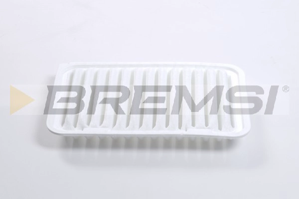 Air Filter (FA2494)