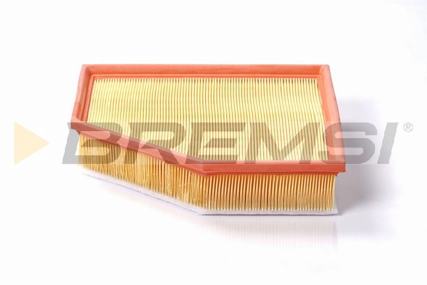 Air Filter (FA1099)