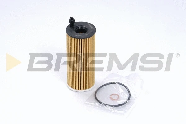 Oil Filter (FL0019)