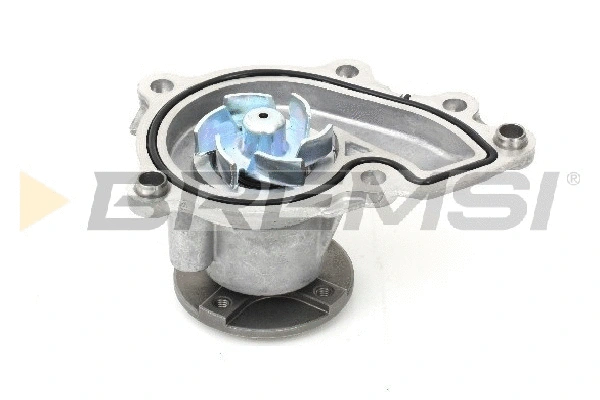 Water Pump, engine cooling (WP0610)