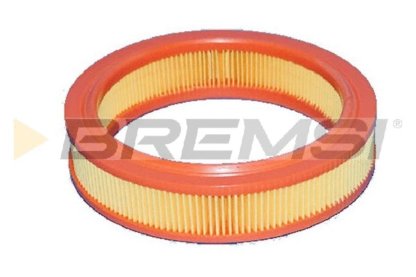 Air Filter (FA2419)