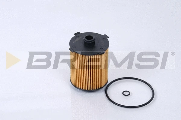 Oil Filter (FL0290)