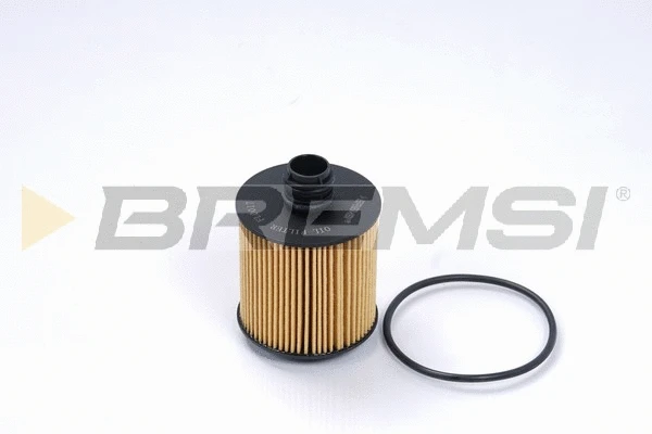 Oil Filter (FL0017)