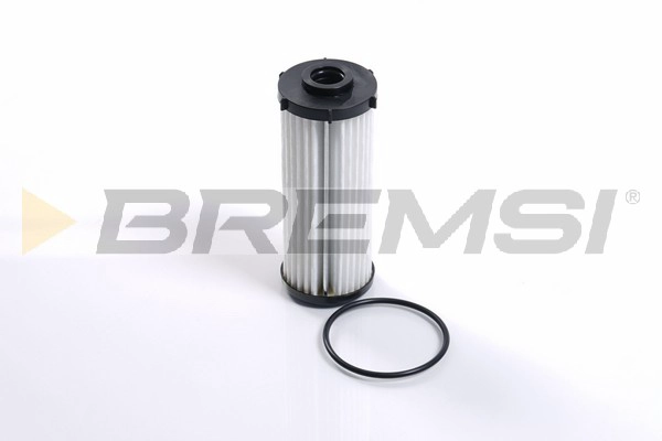 Hydraulic Filter, automatic transmission (FR2516)