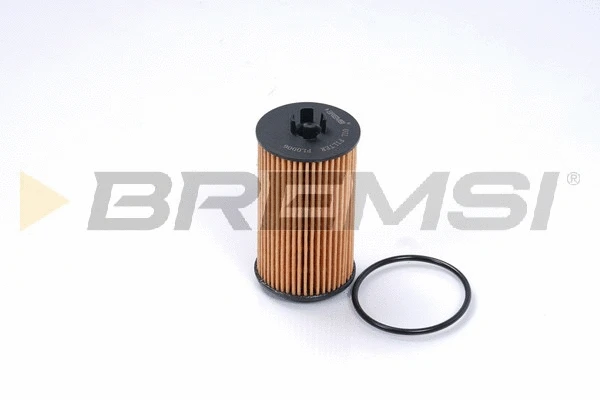 Oil Filter (FL0006)