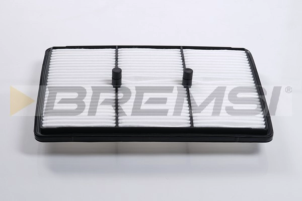Air Filter (FA2505)