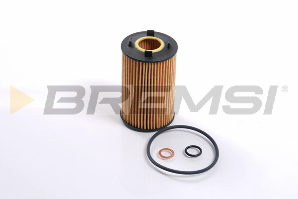 Oil Filter (FL2498)