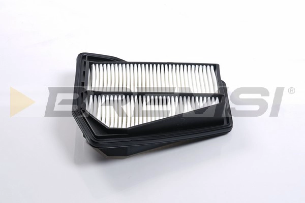 Air Filter (FA2491)