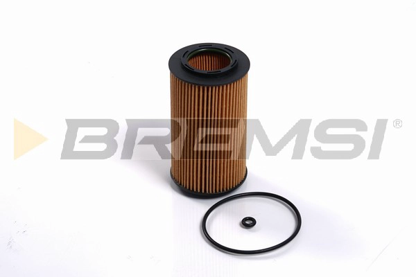 Oil Filter (FL2460)