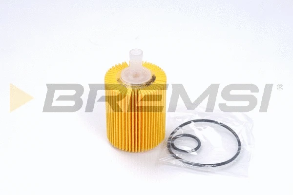Oil Filter (FL0251)