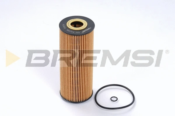 Oil Filter (FL0134)