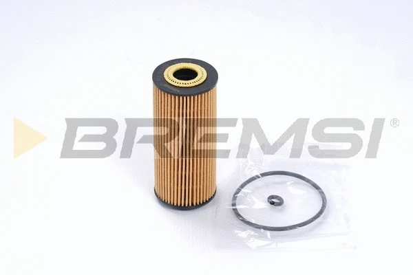 Oil Filter (FL0256)