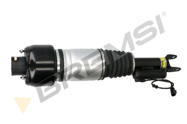 Air Suspension Strut (SA1990)
