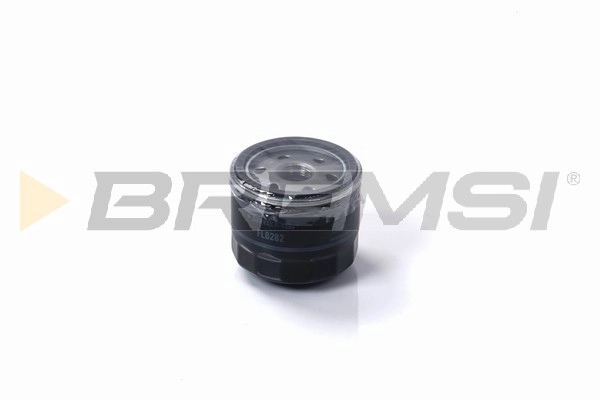Oil Filter (FL0282)