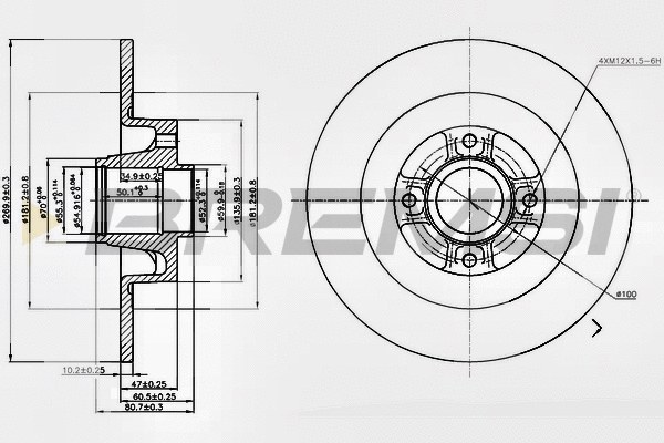 Brake Disc (CD7443S)