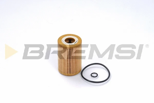 Oil Filter (FL0260)
