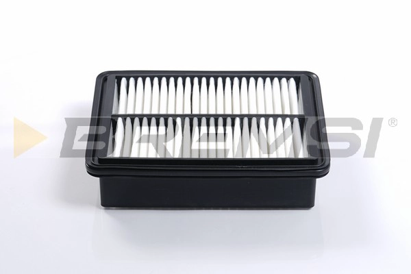 Air Filter (FA2497)