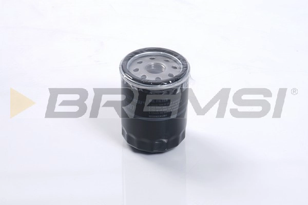 Oil Filter (FL1307)
