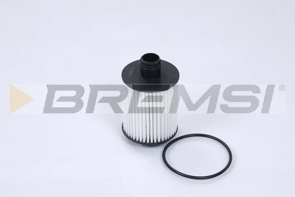 Oil Filter (FL0264)