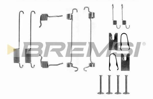 Accessory Kit, brake shoes (SK0751)
