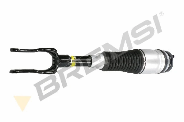 Air Suspension Strut (SA1999)