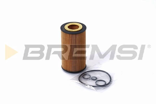 Oil Filter (FL0690)