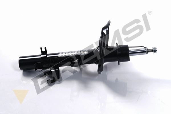 Shock Absorber (SA2273)