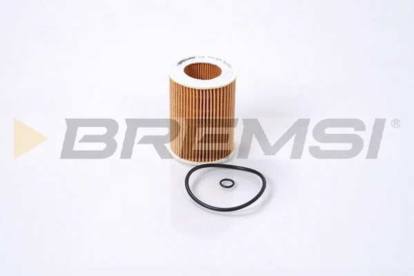Oil Filter (FL0707)