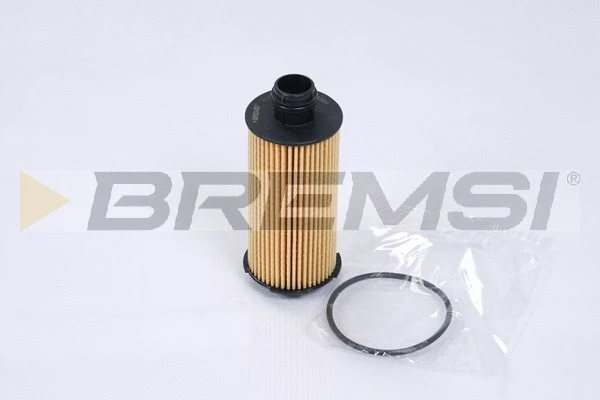 Oil Filter (FL0289)