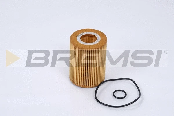 Oil Filter (FL0273)