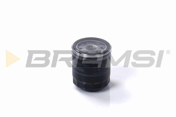Oil Filter (FL0306)