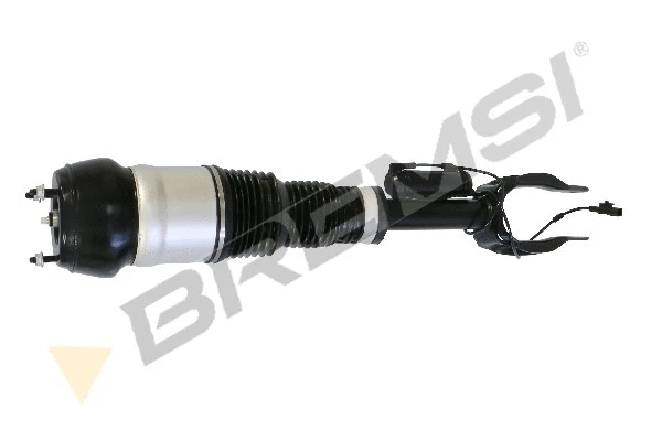 Air Suspension Strut (SA2048)