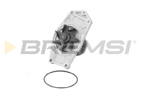 Water Pump, engine cooling (WP0510)