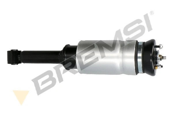 Air Suspension Strut (SA2064)