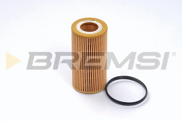 Oil Filter (FL0703)
