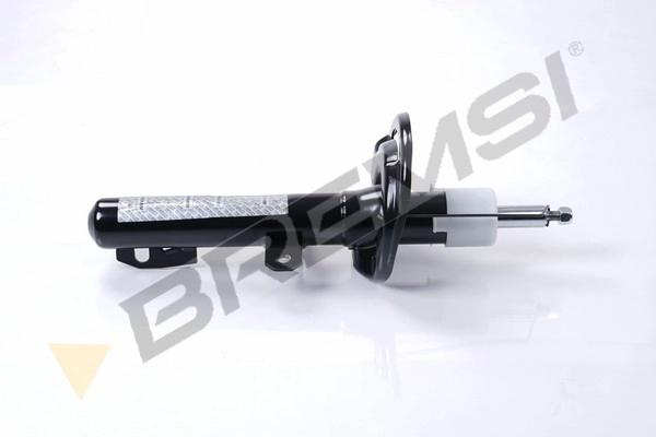 Shock Absorber (SA2245)