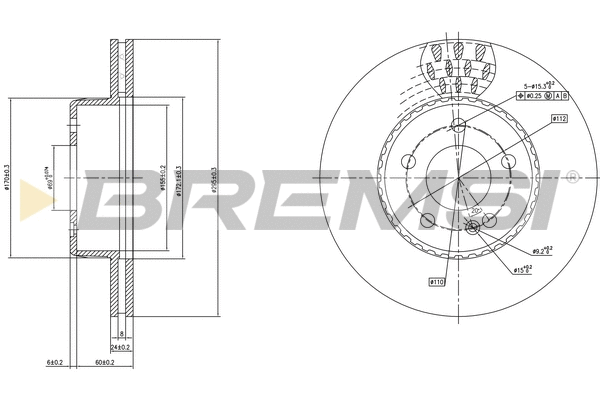 Brake Disc (CD7330V)