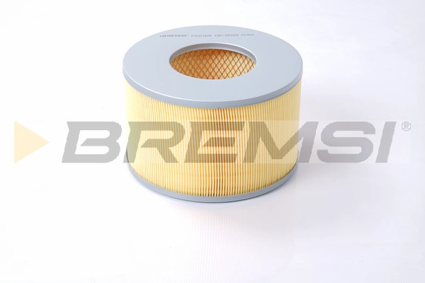 Air Filter (FA2168)