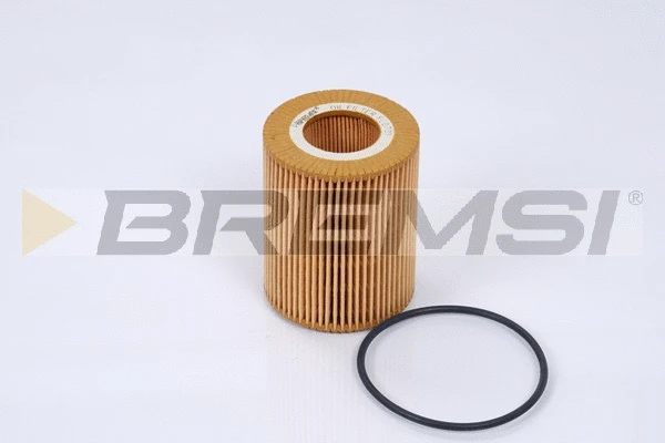 Oil Filter (FL0701)