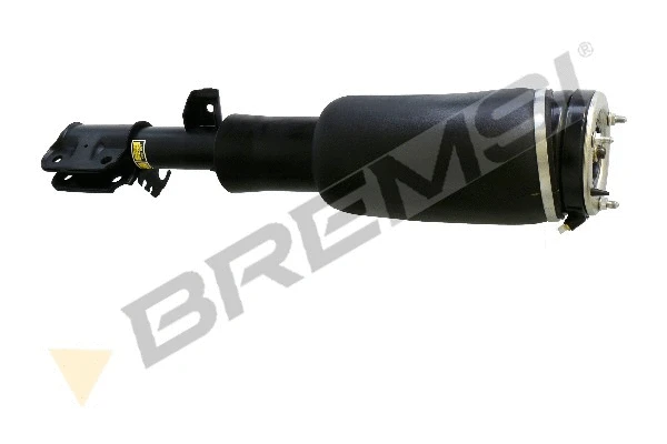 Air Suspension Strut (SA1939)