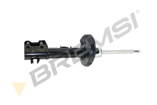 Shock Absorber (SA2191)
