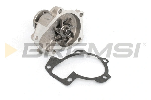 Water Pump, engine cooling (WP0300)