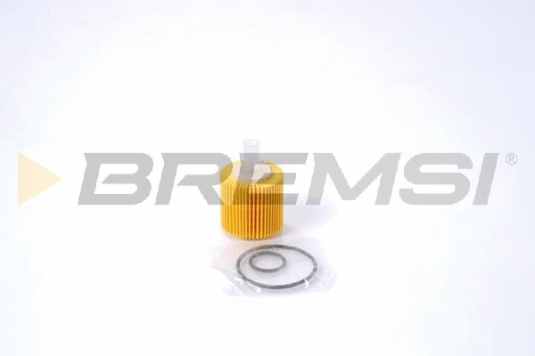 Oil Filter (FL0725)