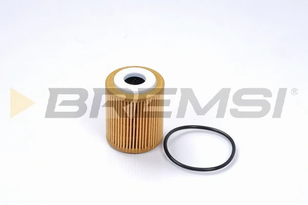 Oil Filter (FL0027)