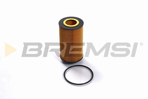 Oil Filter (FL1410)