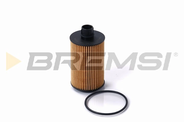 Oil Filter (FL0699)