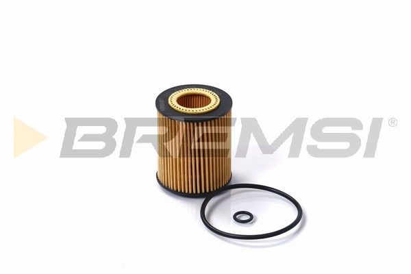 Oil Filter (FL1720)
