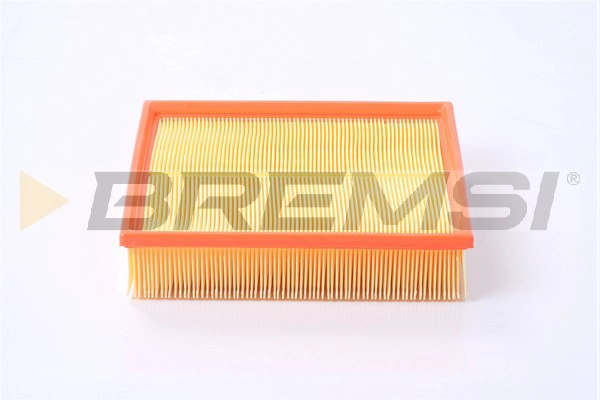 Air Filter (FA2087)