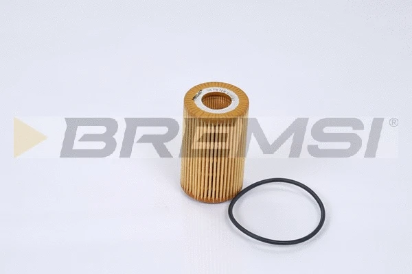 Oil Filter (FL0262)